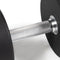 75 LB Pair Classic Round Urethane Dumbbells