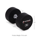 75 LB Pair Classic Round Urethane Dumbbells