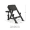 Preacher Curl Bench