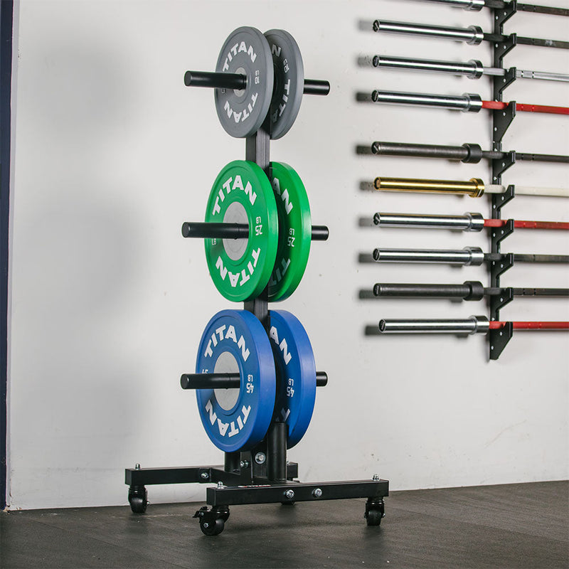 Portable Weight Plate and Barbell Storage Tree