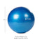 55cm Blue Exercise Stability Ball