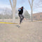 Scratch and Dent - 50' Slackline Kit w/ Hook & Ratchet Closer - FINAL SALE