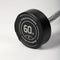 60 LB EZ Curl Fixed Urethane Barbell