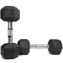 Scratch and Dent, 10 LB Rubber Hex Dumbbells