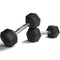 Scratch and Dent, 10 LB Rubber Hex Dumbbells