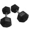 40 LB Rubber Hex Dumbbells