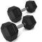 45 LB Rubber Hex Dumbbells