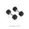 Scratch and Dent - 10 LB Straight Stainless Steel Hex Dumbbells - FINAL SALE