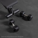 Scratch and Dent - 10 LB Straight Stainless Steel Hex Dumbbells - FINAL SALE