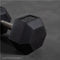 Scratch and Dent - 10 LB Straight Stainless Steel Hex Dumbbells - FINAL SALE