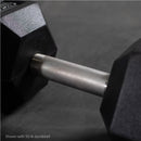 Scratch and Dent - 10 LB Straight Stainless Steel Hex Dumbbells - FINAL SALE