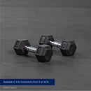 Scratch and Dent - 10 LB Rubber Hex Dumbbells - FINAL SALE