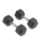 SCRATCH AND DENT - 20 LB Rubber Hex Dumbbells - FINAL SALE