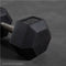 30 LB Straight Stainless Steel Hex Dumbbells