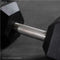 30 LB Straight Stainless Steel Hex Dumbbells