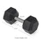 40 LB Straight Stainless Steel Hex Dumbbells