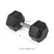 55 LB Straight Stainless Steel Hex Dumbbells