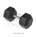 75 LB Straight Stainless Steel Hex Dumbbells