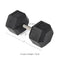 Scratch and Dent - 100 LB Straight Stainless Steel Hex Dumbbell - Single - FINAL SALE