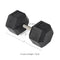 100 LB Straight Stainless Steel Hex Dumbbells