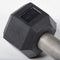 5 LB Straight Stainless Steel Hex Dumbbells