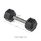 Scratch and Dent, 10 LB Straight Stainless Steel Hex Dumbbells