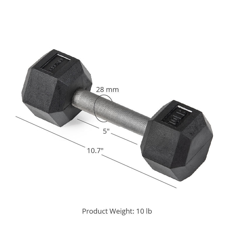 10 LB Straight Stainless Steel Hex Dumbbells