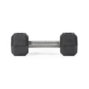 10 LB Straight Stainless Steel Hex Dumbbells