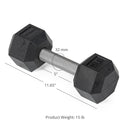 15 LB Straight Stainless Steel Hex Dumbbells