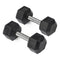 20 LB Straight Stainless Steel Hex Dumbbells