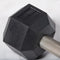 20 LB Straight Stainless Steel Hex Dumbbells