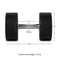 65 LB Pair Round Urethane Dumbbells