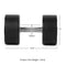 75 LB Pair Round Urethane Dumbbells