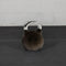 Scratch and Dent - Competition Style Kettlebell - 36 KG - FINAL SALE