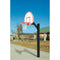 Bison Ultimate Jr. Fan Aluminum Playground Basketball Hoop System PR15