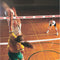 Bison Sport Pride Printed Volleyball Net Band