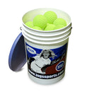 Jugs Bucket of Dimpled Sting-Free Softballs