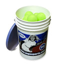 Jugs Bucket of Realistic-Seam Sting-Free Softballs