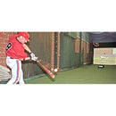 ProBatter PX3 Baseball Batting Video Simulator