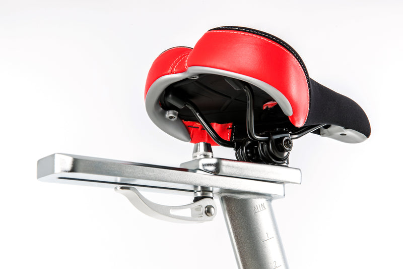 SOLE SB700 Exercise Bike (Last-Generation Model)