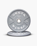 Colored Bumper Plates 10lb